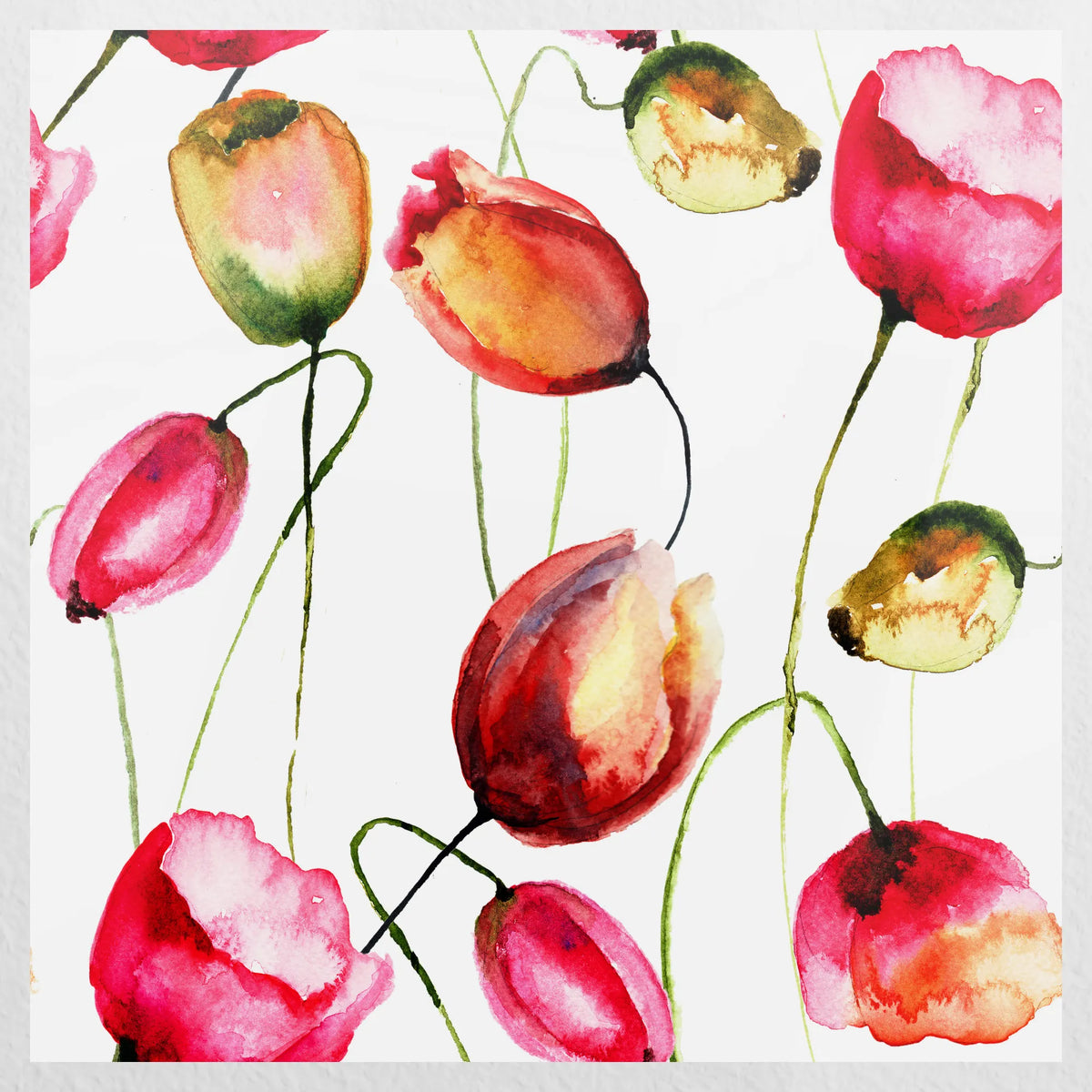 PO-050W050