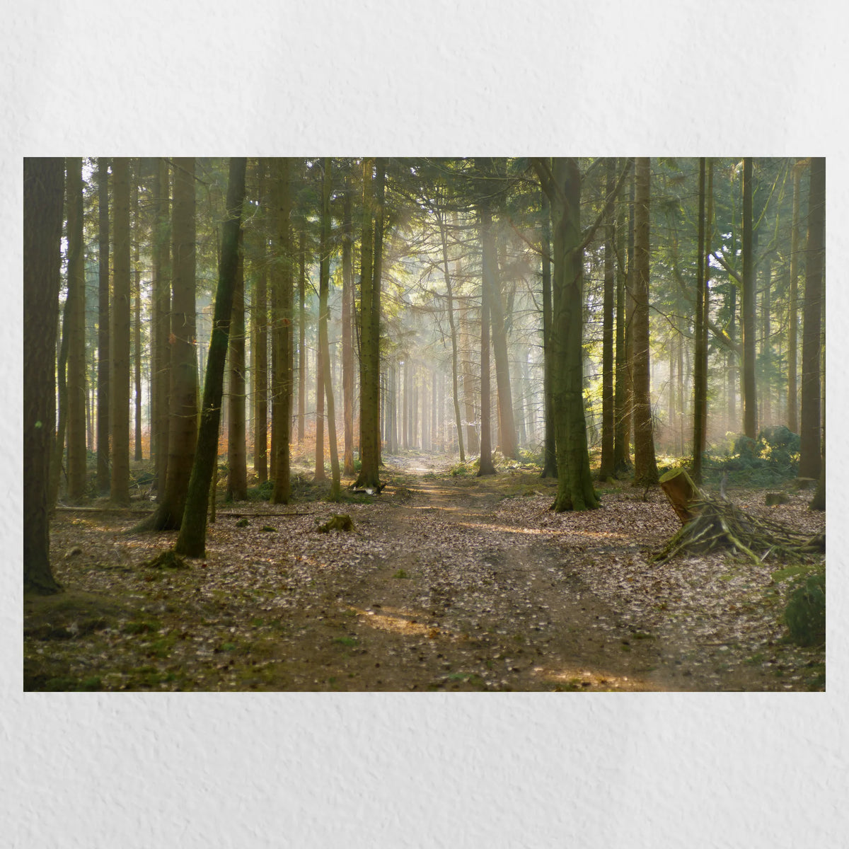 PO-060W040