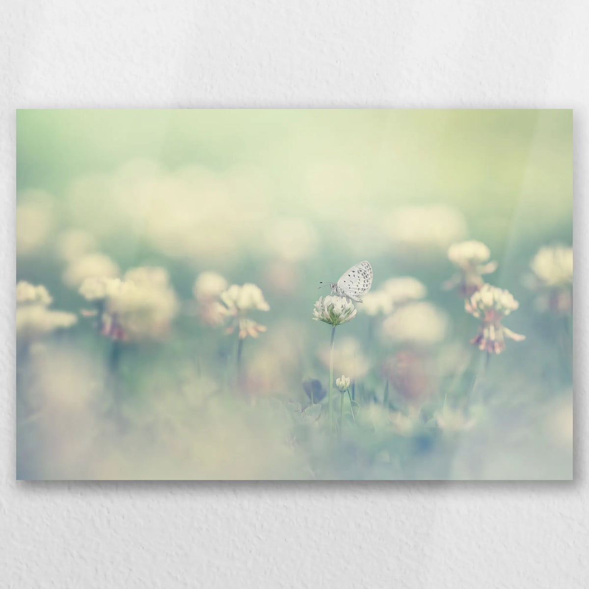 AL-045W030