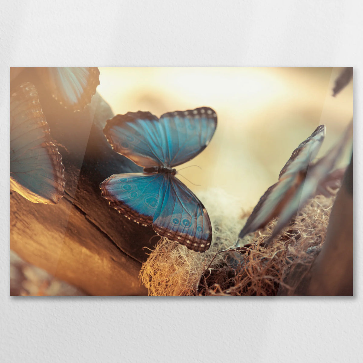 AC-090W060