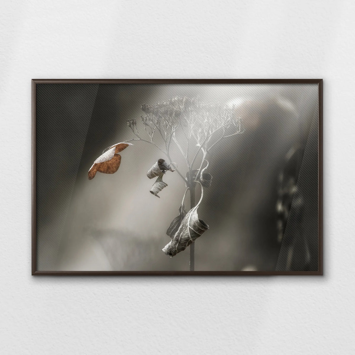 LWN100W070