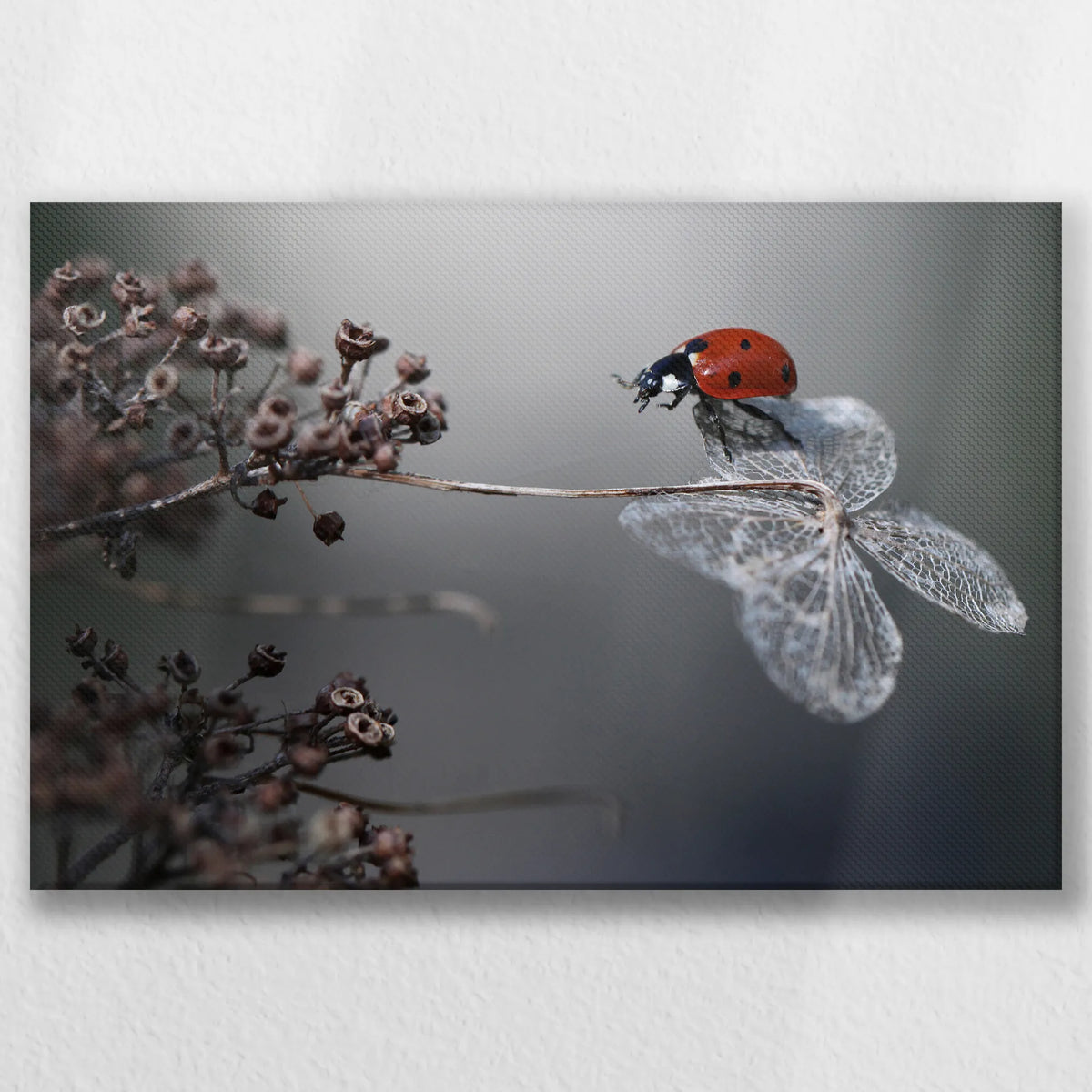 LW-060W040
