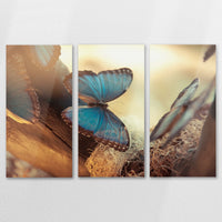 AL-120R080
