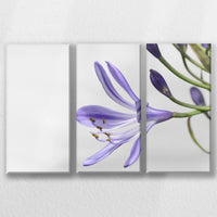 LW-060R040