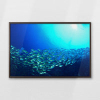 LWN100W070