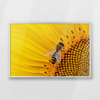PS-060W040