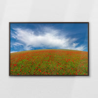 LWN120W080