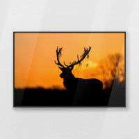 PB-093W062