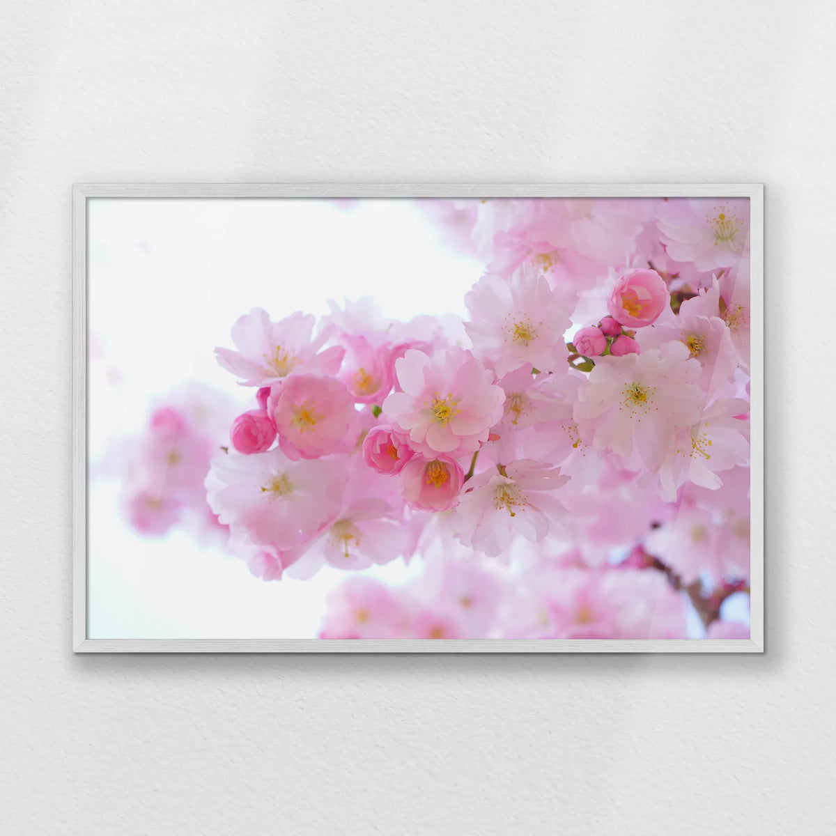 PW-093W062