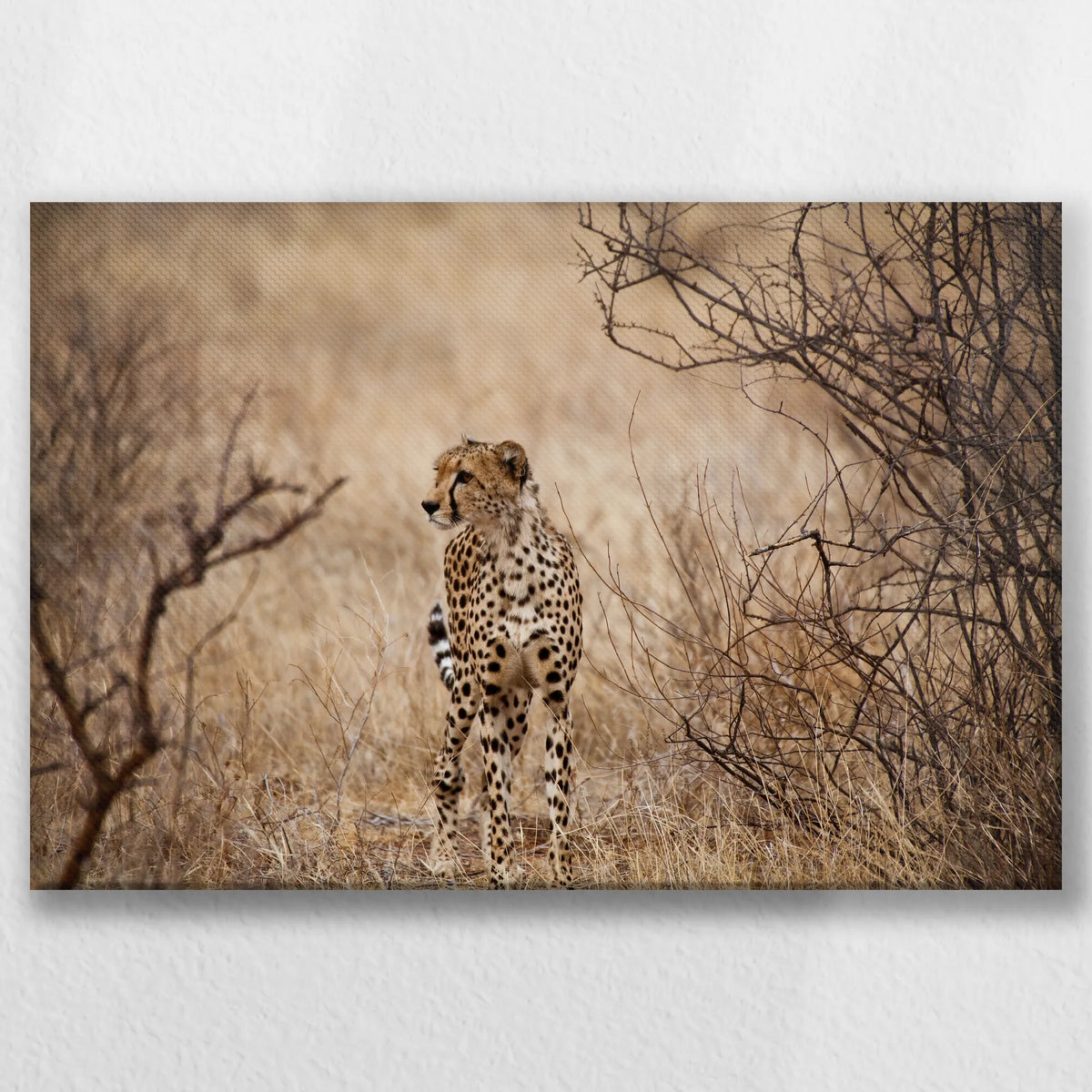 LW-060W040