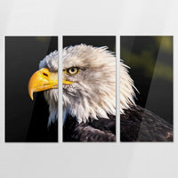 AC-180R120