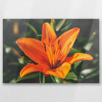 AC-045W030