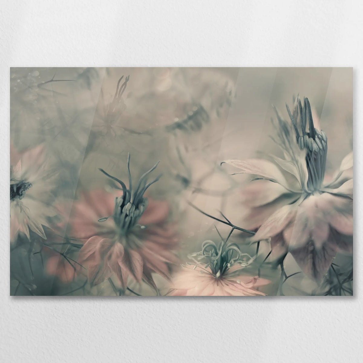 AC-075W050