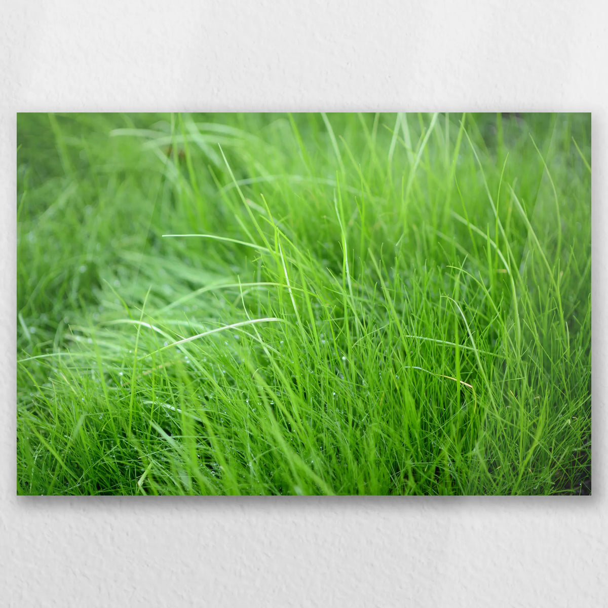 AC-030W020