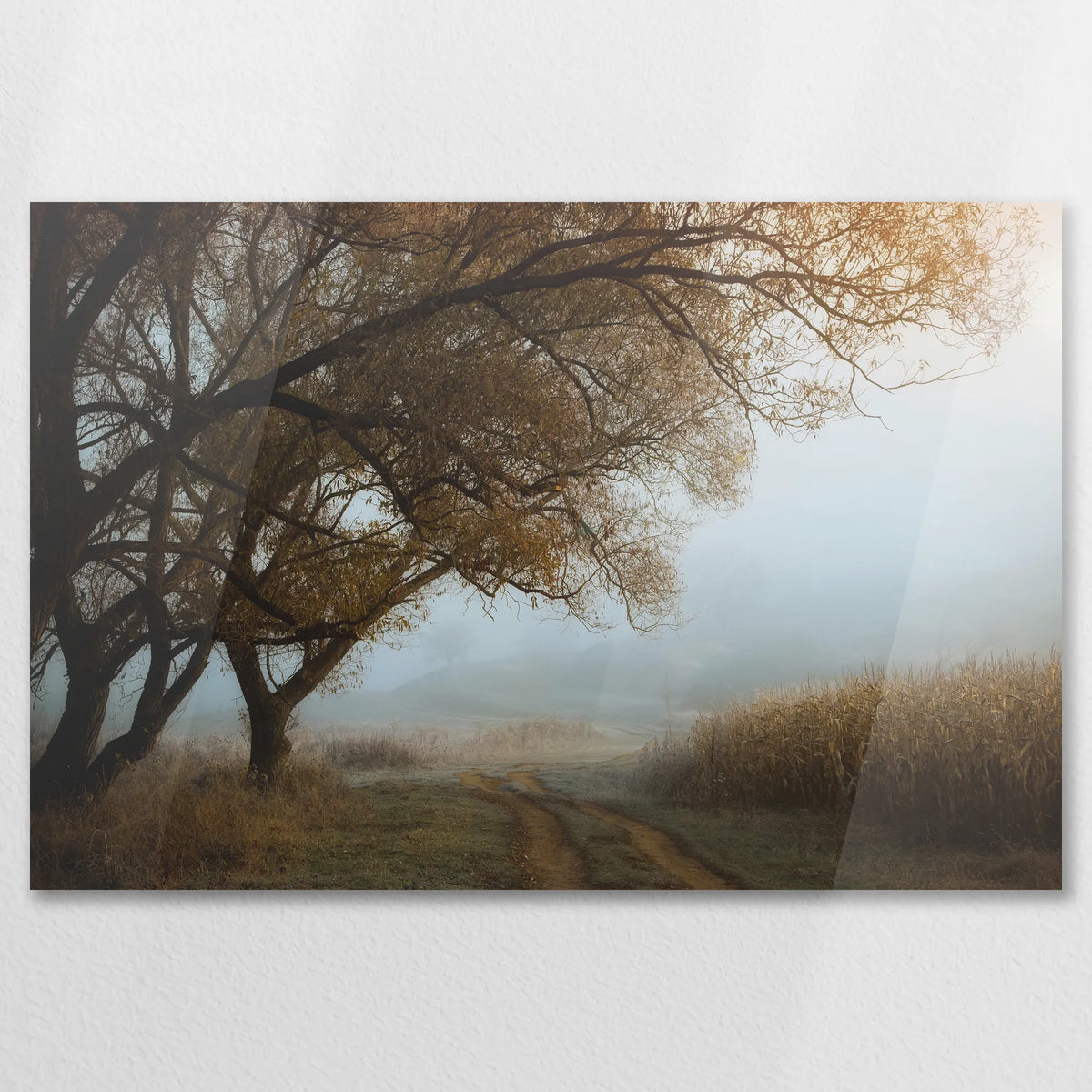 AC-075W050