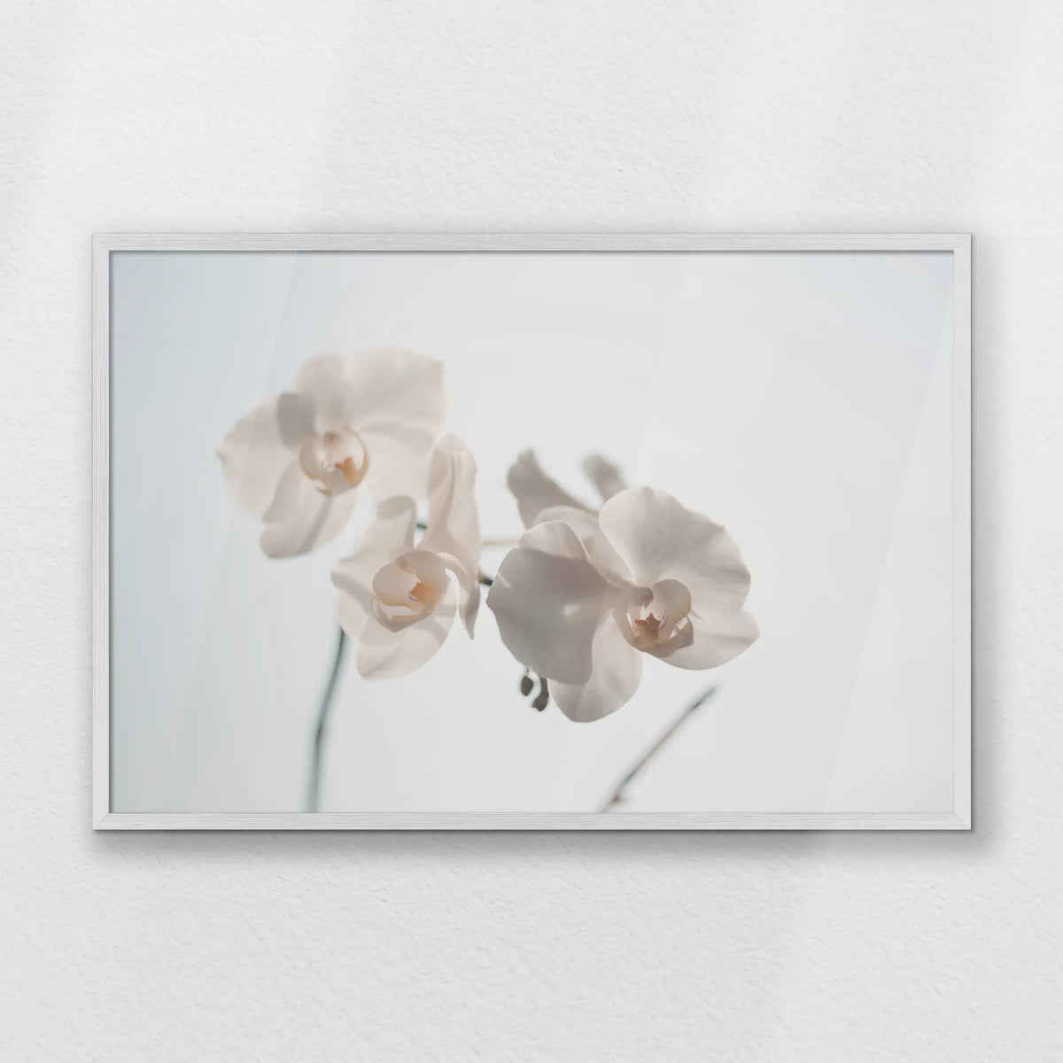 PW-093W062