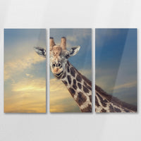 AL-090R060