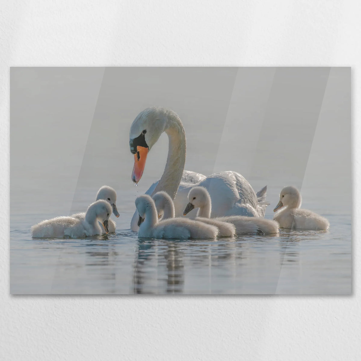 AC-120W080