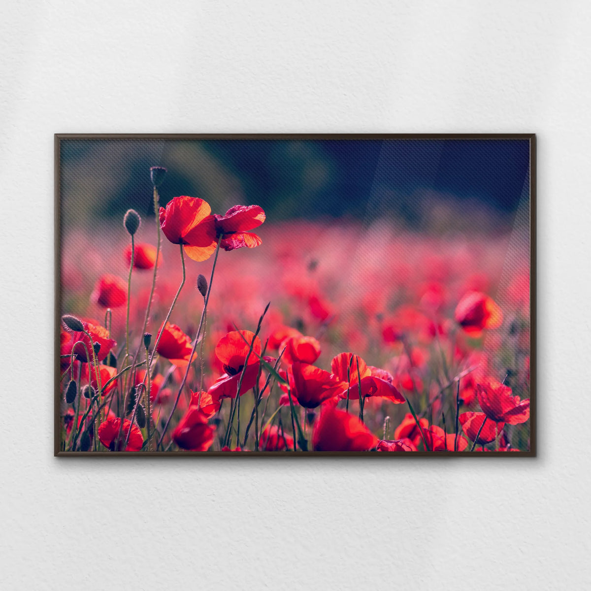 LWN120W080