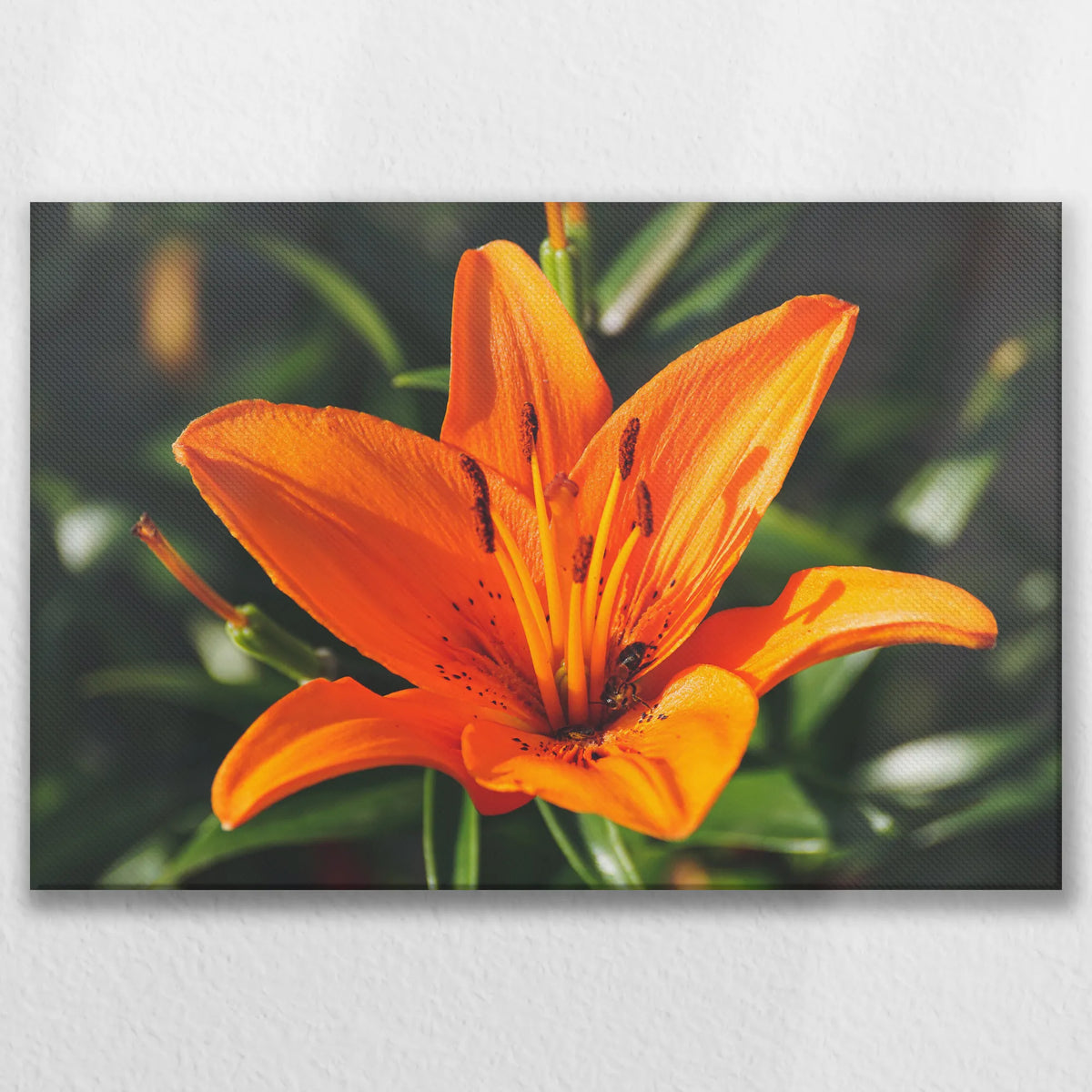 LW-075W050