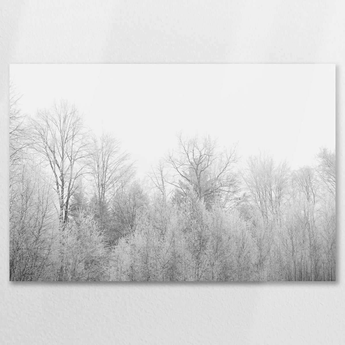 AC-075W050