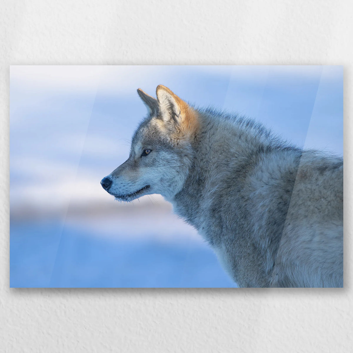 AC-060W040