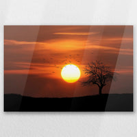 AC-030W020