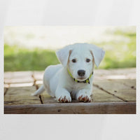 PO-090W060