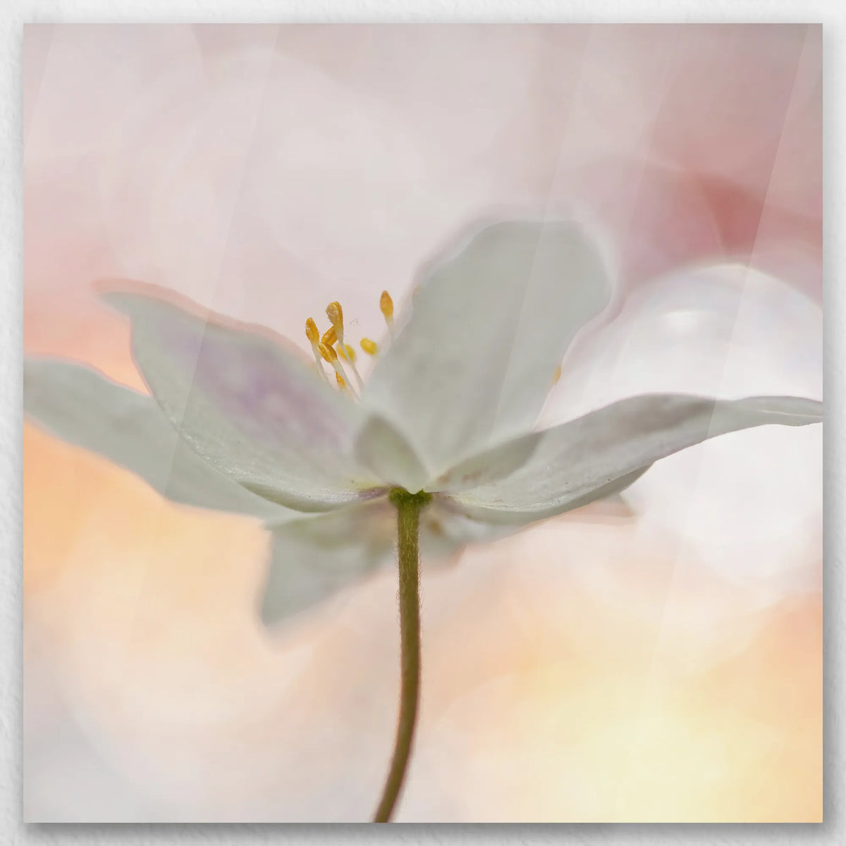 AC-060W060
