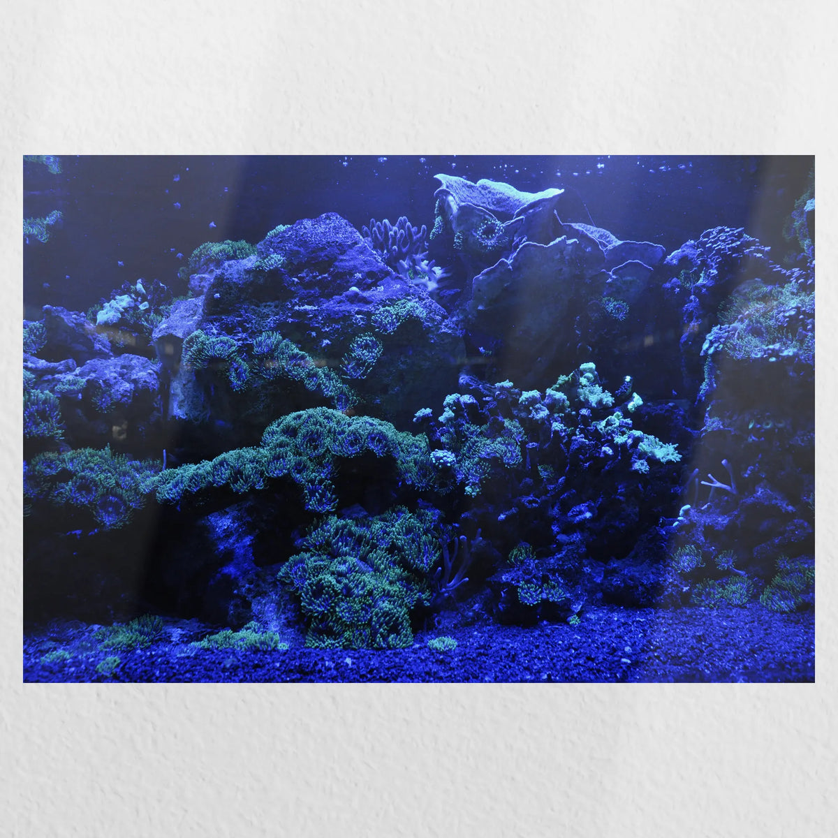 PO-045W030