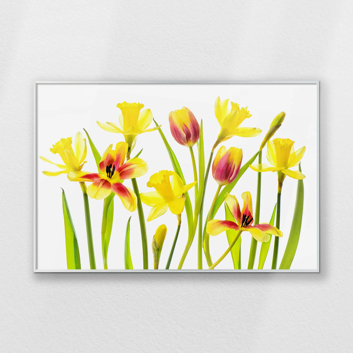 PS-093W062