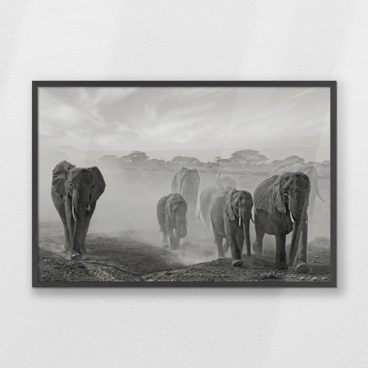PK-093W062