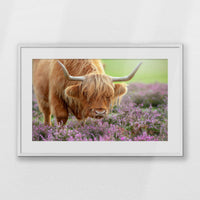 PWP093W062