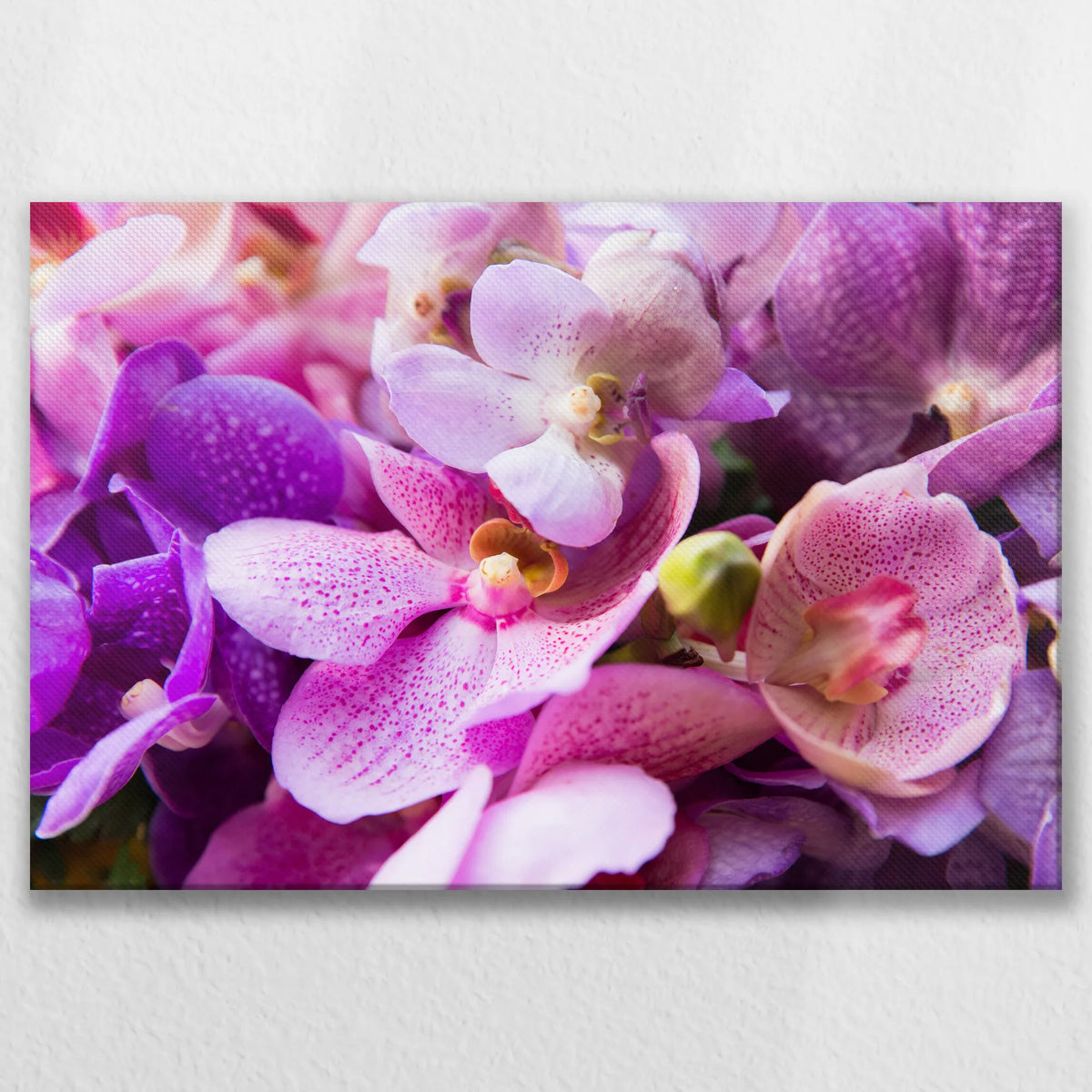 LW-075W050
