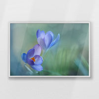 PW-093W062