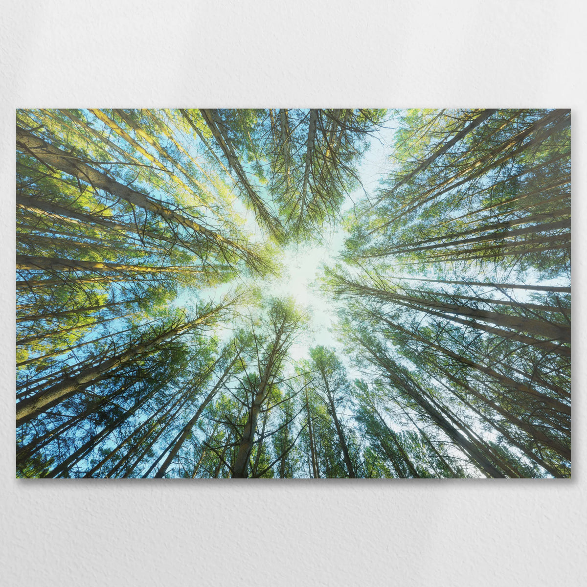 AL-075W050