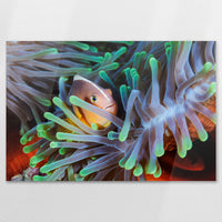 AC-120W080