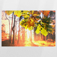 PO-060W040