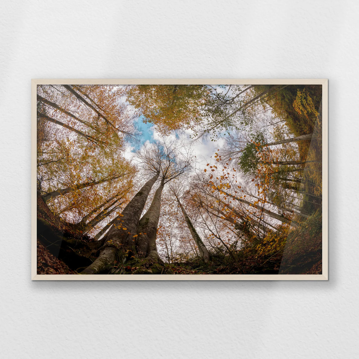 PN-093W062