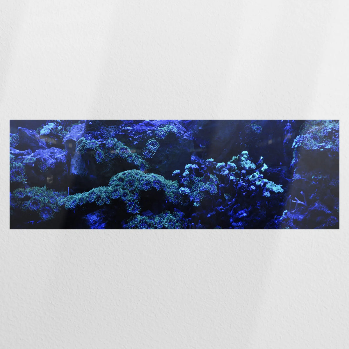PO-150P050