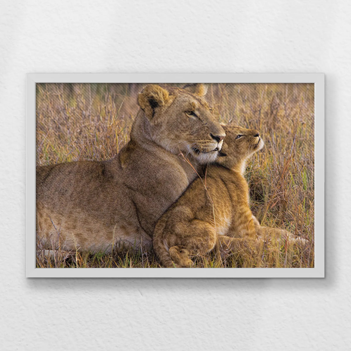 LWW060W040