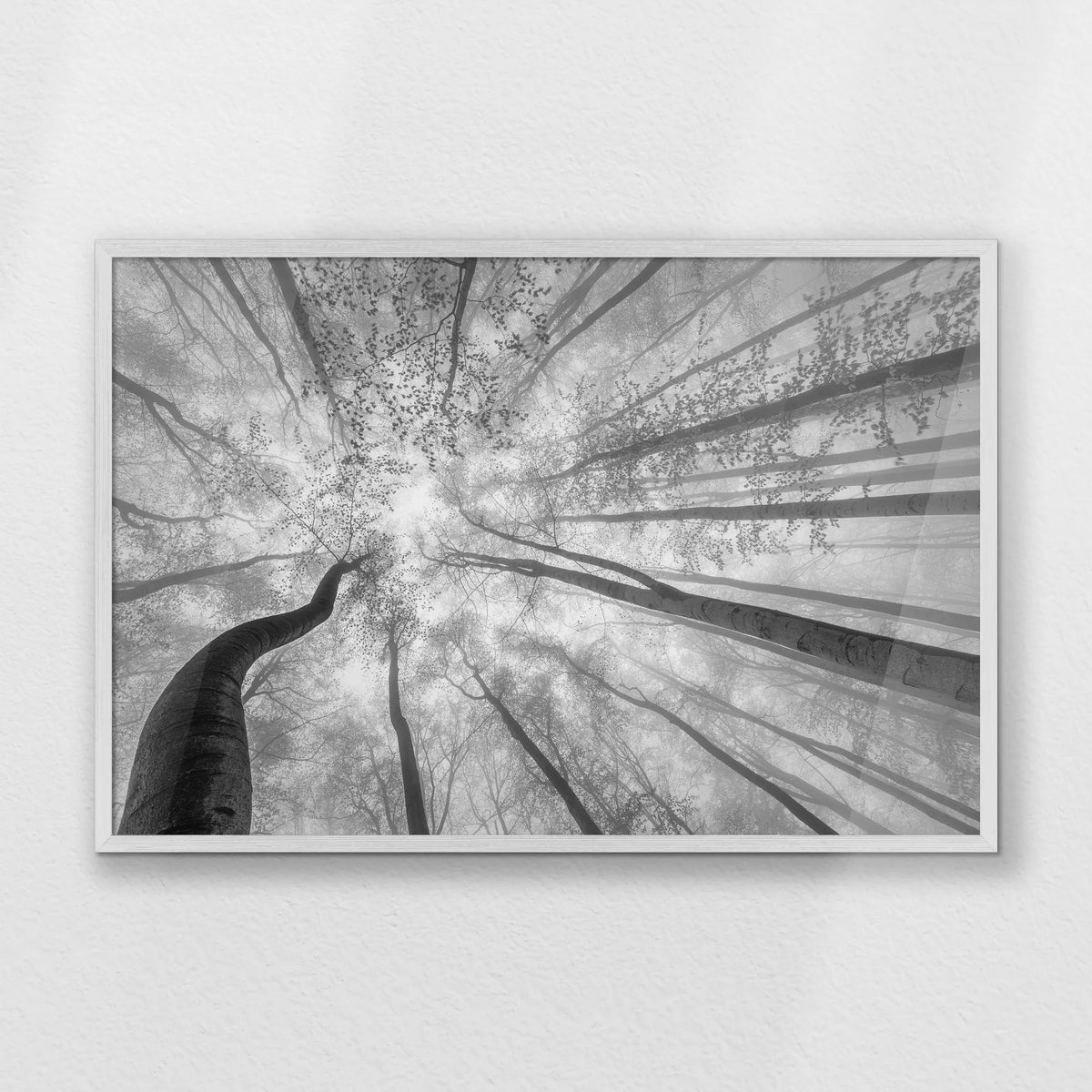 PW-093W062