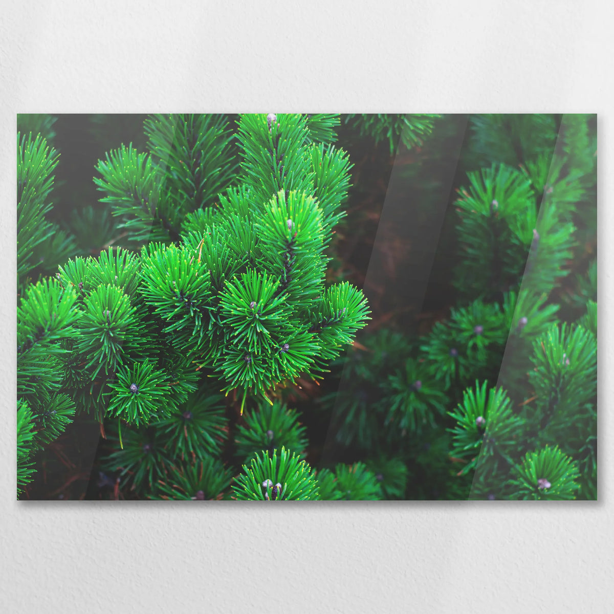 AC-075W050
