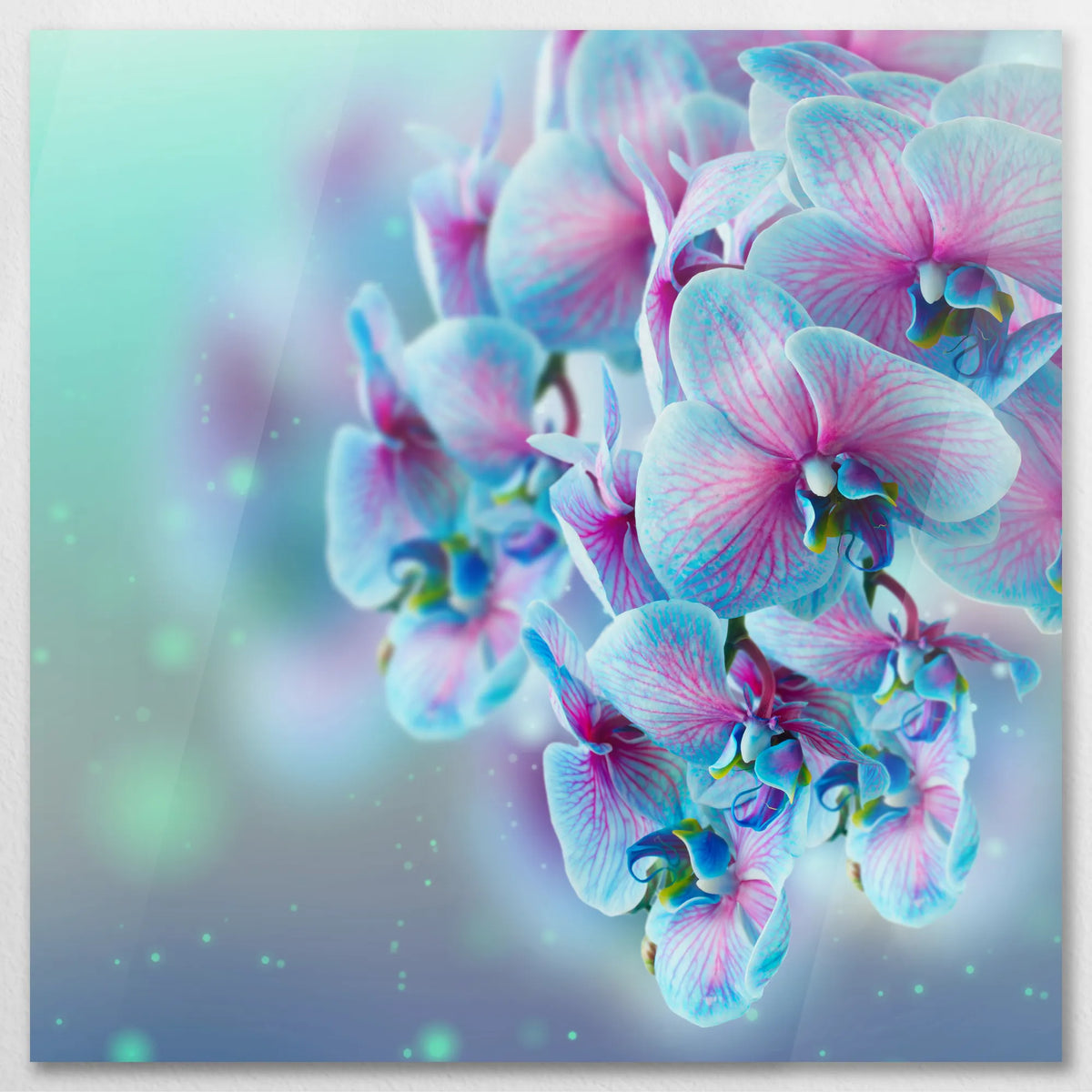 AC-070W070