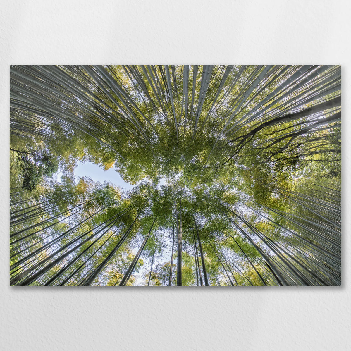 AL-090W060
