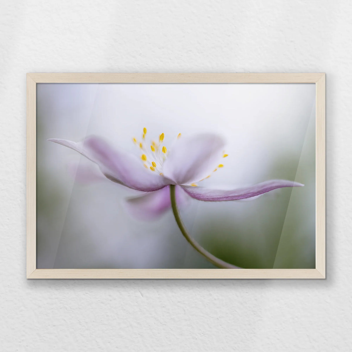 PN-060W040