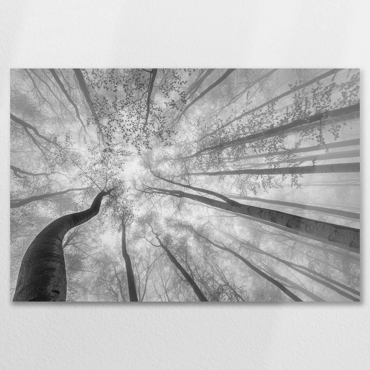 AL-090W060