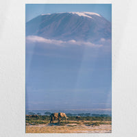 PO-050W075