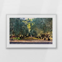 PSP100W070