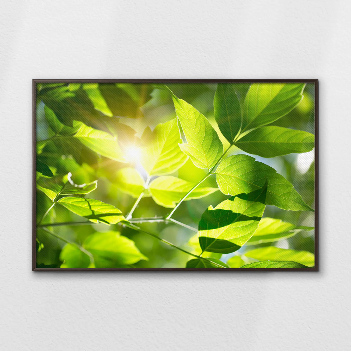 LWN120W080